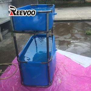Piscina per pesci