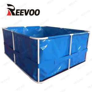 Serbatoio di pesce in fattoria in PVC